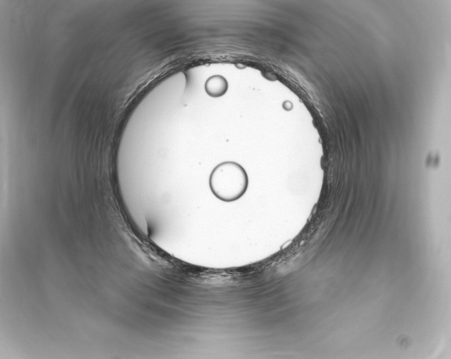 X0000093620405200711121241