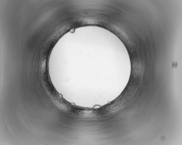 X0000093620406200711121241