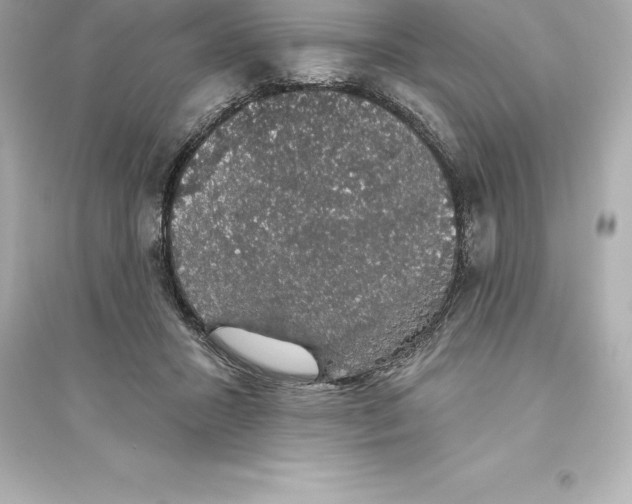 X0000093620407200711121241