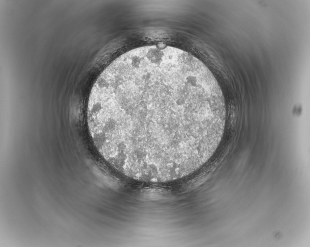 X0000093620408200711121241