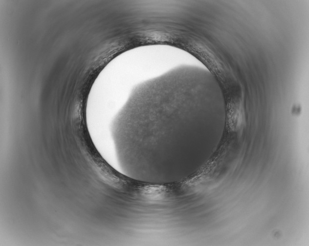 X0000093620410200711121241