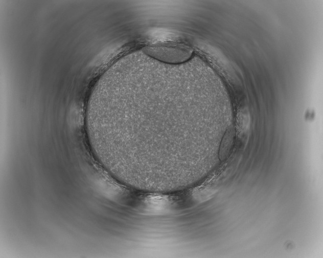 X0000093620413200711121241