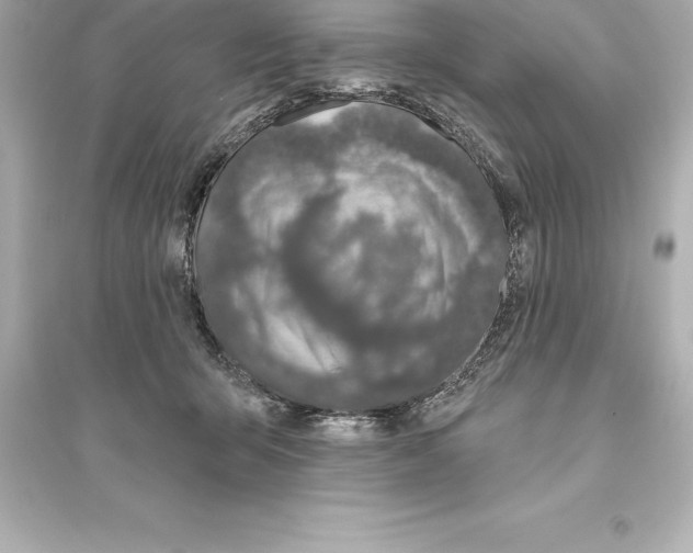 X0000093620415200711121241