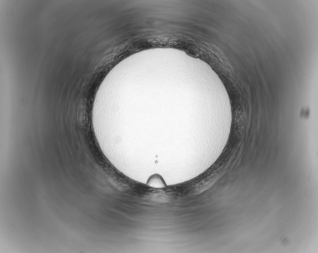 X0000093620416200711121241