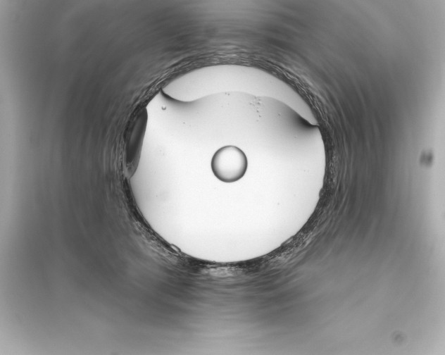 X0000093620417200711121240