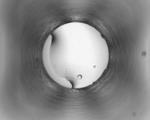 X0000093620419200711121240