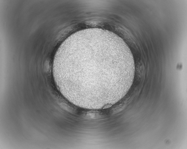 X0000093620420200711121240