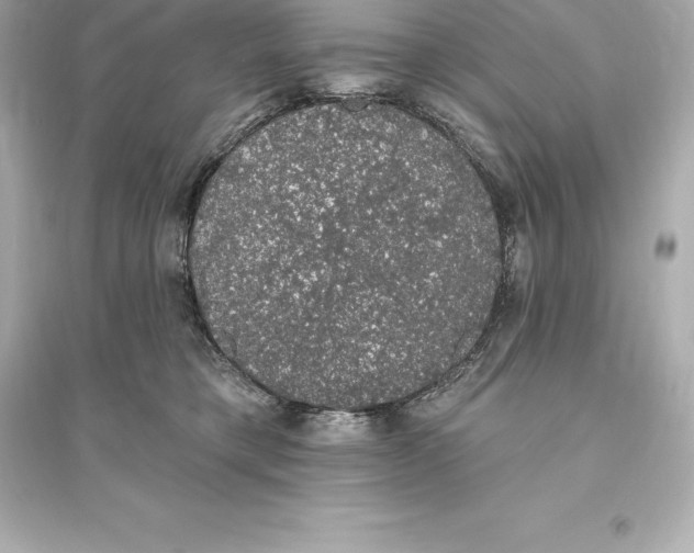 X0000093620421200711121240