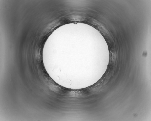 X0000093620422200711121240