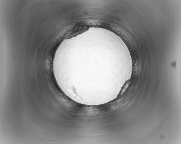 X0000093620424200711121240