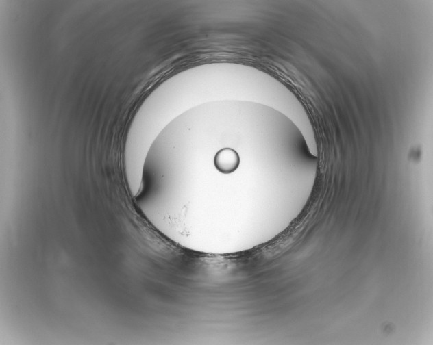 X0000093620425200711121240