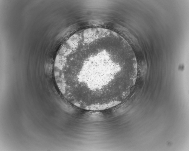 X0000093620427200711121240