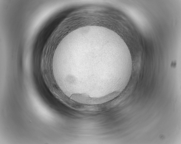 X0000093620431200711121240