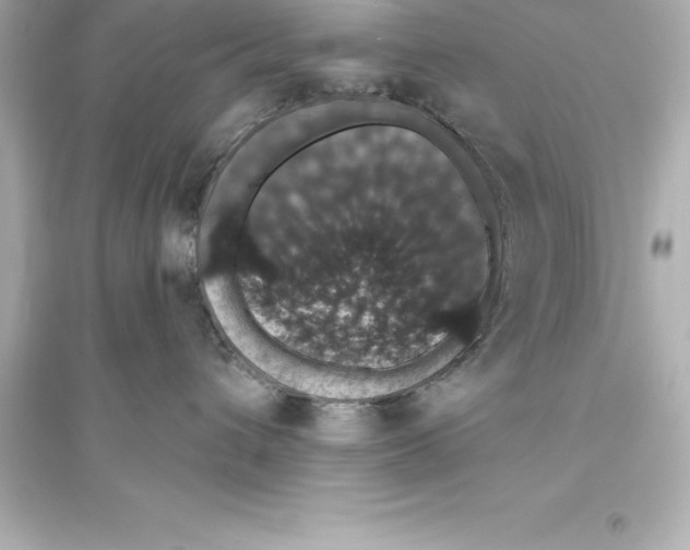 X0000093620432200711121240