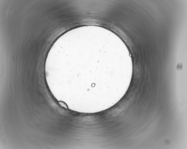 X0000093620433200711121239