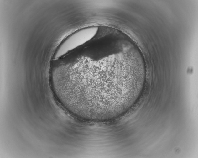 X0000093620434200711121239