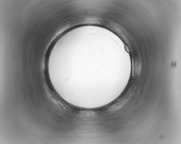 X0000093620435200711121239