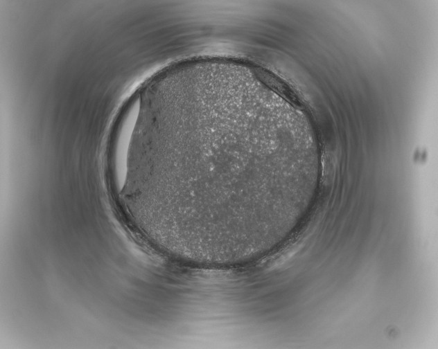 X0000093620436200711121239