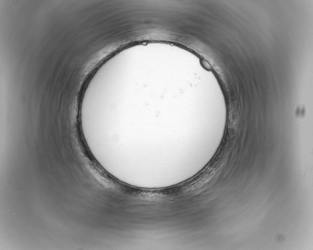 X0000093620437200711121239