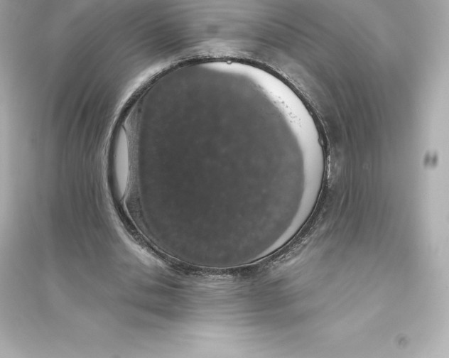 X0000093620438200711121239