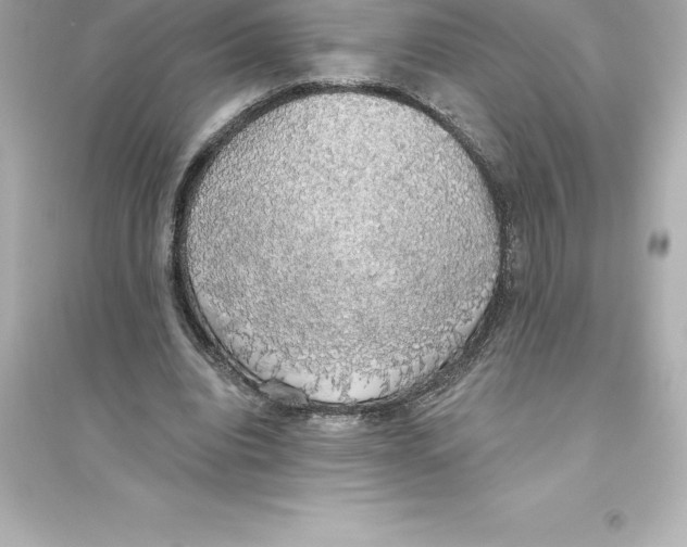 X0000093620440200711121239