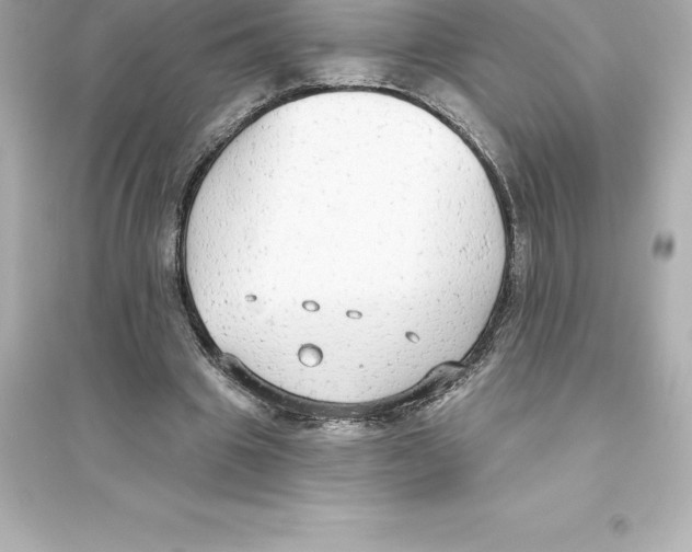 X0000093620441200711121239