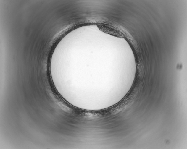 X0000093620442200711121239