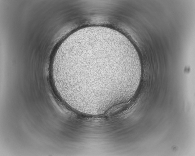 X0000093620443200711121239