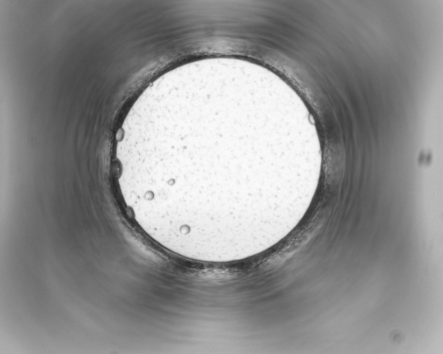 X0000093620445200711121239