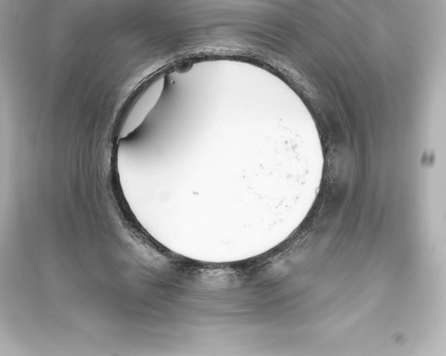 X0000093620446200711121239