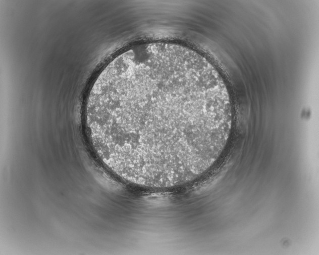 X0000093620447200711121239