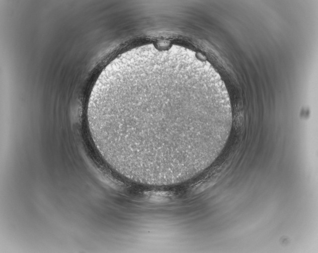 X0000093620448200711121239