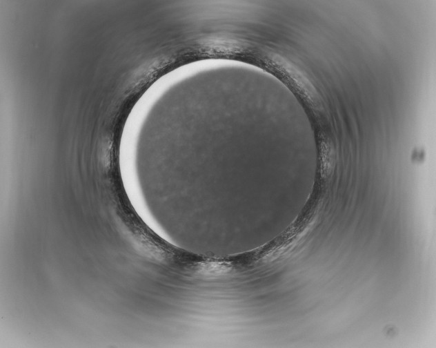 X0000093620451200711121240