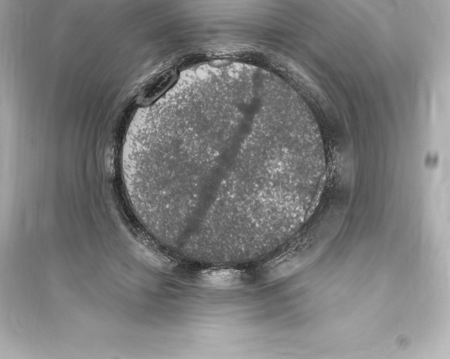 X0000093620452200711121240