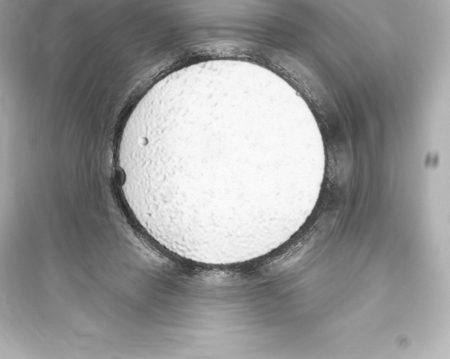 X0000093620453200711121240