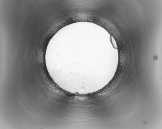 X0000093620457200711121240