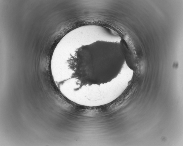 X0000093620458200711121240