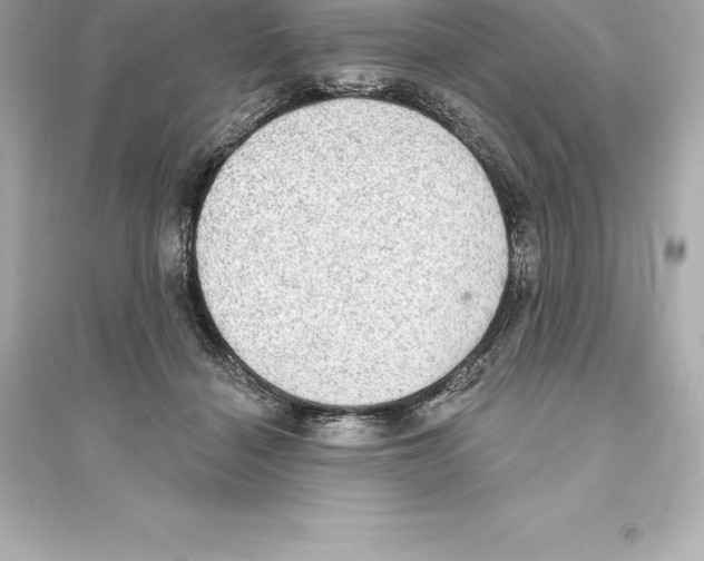 X0000093620460200711121240