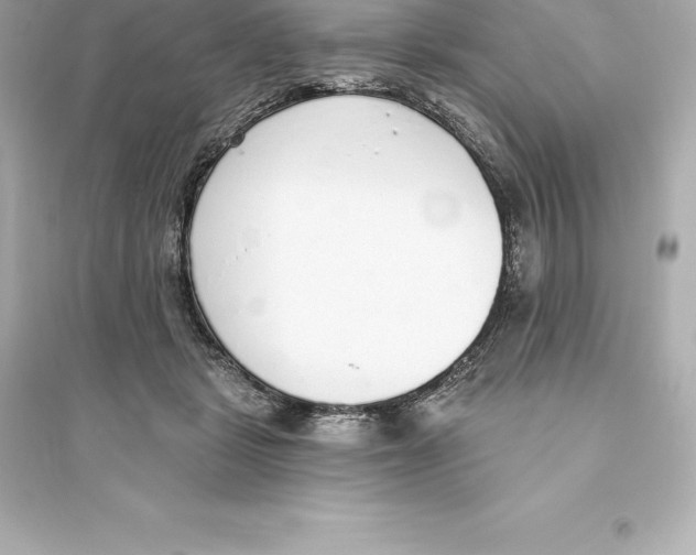 X0000093620461200711121240