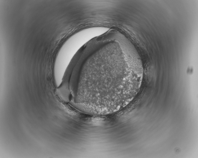 X0000093620462200711121240