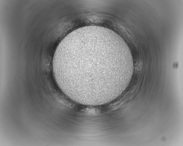 X0000093620464200711121240