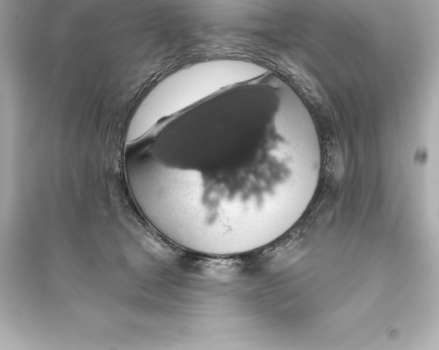 X0000093620465200711121240