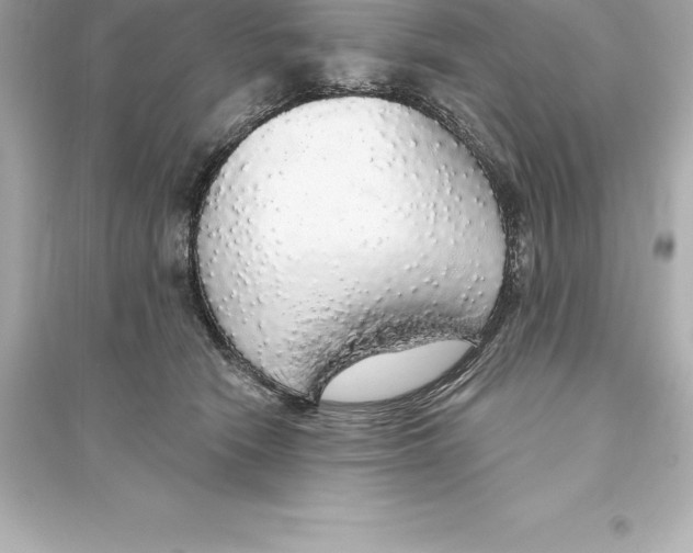 X0000093620466200711121240