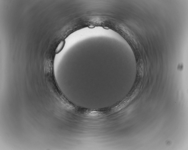 X0000093620467200711121240