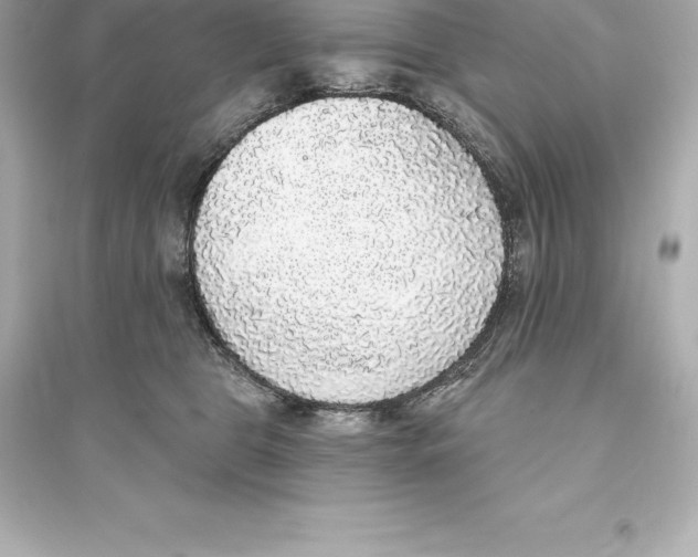 X0000093620469200711121240