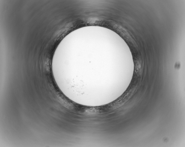 X0000093620470200711121240