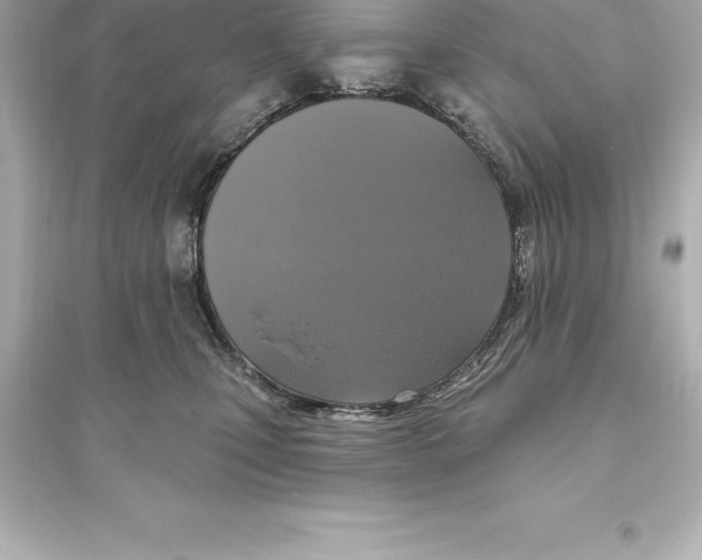 X0000093620471200711121240