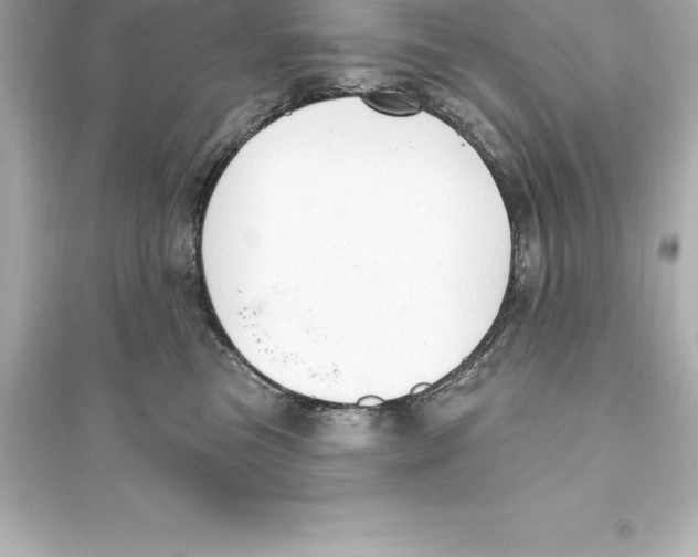 X0000093620473200711121240