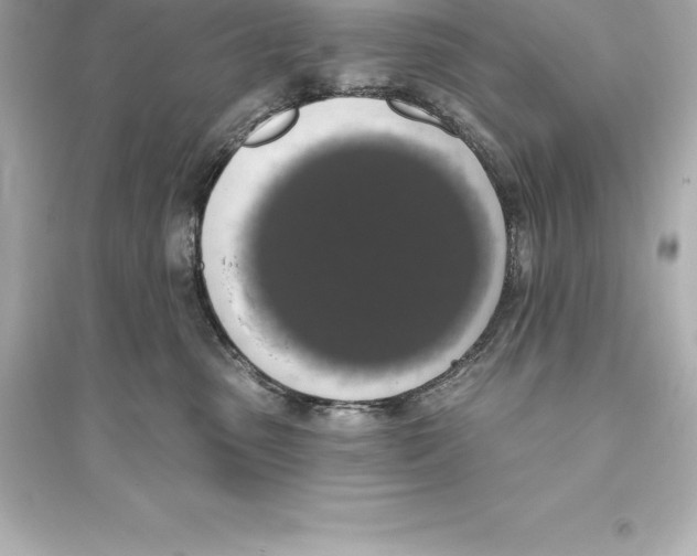 X0000093620475200711121240