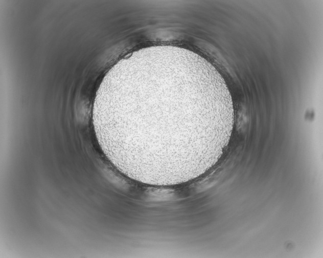 X0000093620476200711121240